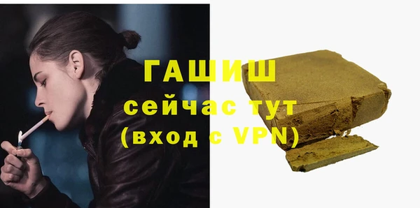 хмурый Алзамай