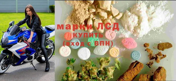 хмурый Алзамай